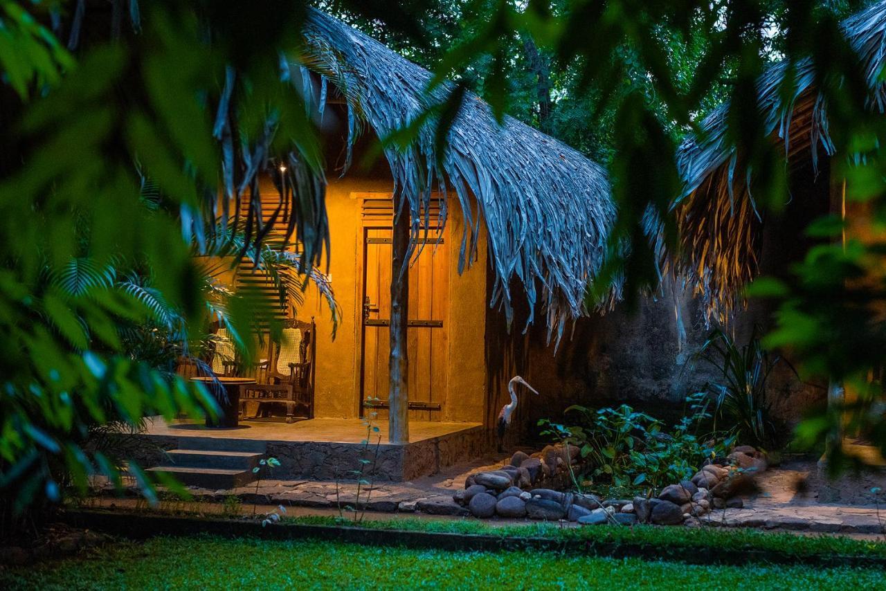 Private Organic House Bed & Breakfast Удавалаве Екстериор снимка