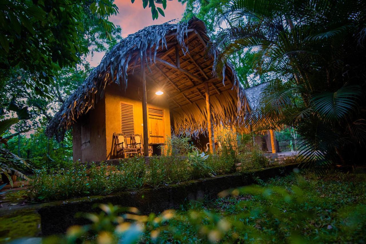 Private Organic House Bed & Breakfast Удавалаве Екстериор снимка